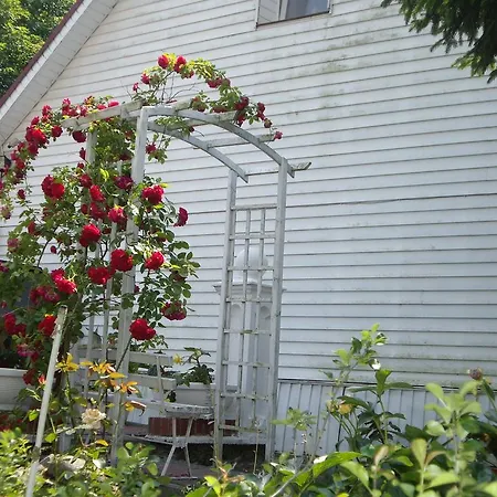 Lejlighed Dom Nad Jeziorem *