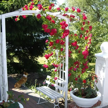 Lejlighed Dom Nad Jeziorem *