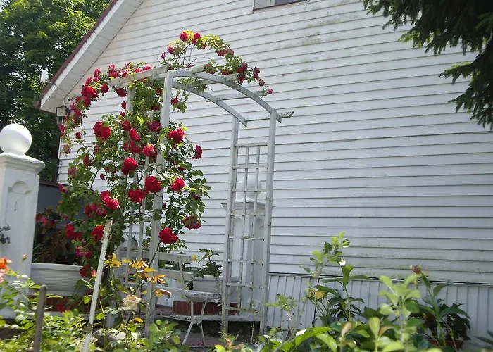 Lejlighed Dom Nad Jeziorem *