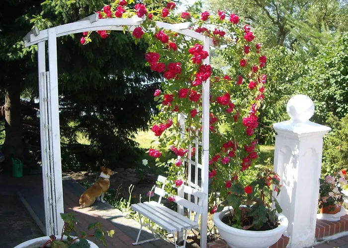 Lejlighed Dom Nad Jeziorem *